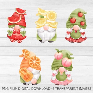 Fruit Gnomes, Watercolor Gnomes, Sublimation, Summer tshirt designs, Digital Stickers, Printable, PNG files, Cute summer PNG bundle