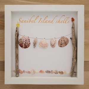 Sanibel seashell art, Sanibel seashell handmade art, seashell wall decor, assorted shells from Sanibel island beaches in Florida