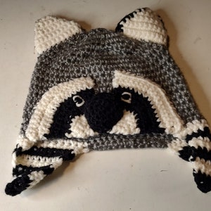 Waschbär Baby Mütze