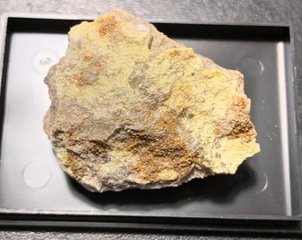 Coconinoite, Jomac Mine, White Canyon, Utah, USA