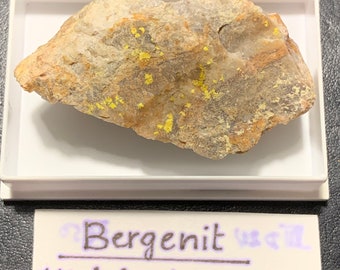 Bergenite, Mechelsgrün, Bergen, Vogtland