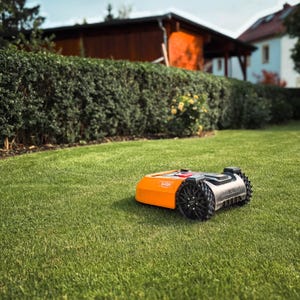 May include: An orange and gray robotic lawn mower on a green lawn. The mower has black wheels and is surrounded by lush green grass. A hedge and a house are in the background.
