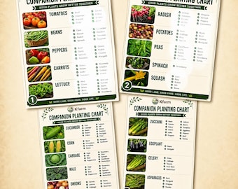 Companion Planting Chart Set, 4 Printable Garden Guides, Vegetable Garden Planner, Homestead Garden PNG Bundle, Instant Digital Download