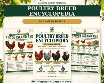 Chicken Breed Encyclopedia PDF, 30 Chicken Sections, 91-Page Backyard Poultry Reference Guide by KFarm