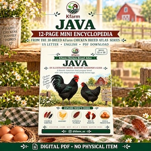 Handleiding voor Java-kippen (PDF), geïllustreerde mini-encyclopedie van 12 pagina's, afdrukbaar op A4-formaat (US Letter).