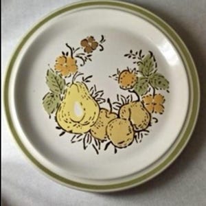 Vintage Harvest Collection Stoneware salad 8” Plates Valley Fruits Japan Set 10