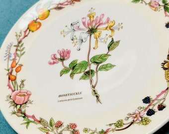 Die Früchte & Blumen von Somerest AYNSLEY Bone China Honeys 8,5 ”Teller England Großbritannien