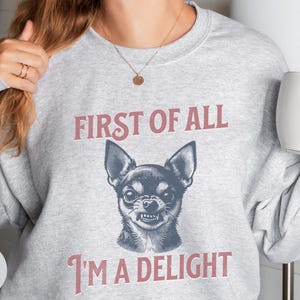 Retro First of All I'm a Delight Chihuahua Sweatshirt, Funny Chihuahua Shirt, Chihuahua Dog Mom Hoodie, Vintage Sarcastic Dog Mom Crewneck afbeelding 11