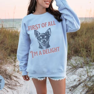 Retro First of All I'm a Delight Chihuahua Sweatshirt, Funny Chihuahua Shirt, Chihuahua Dog Mom Hoodie, Vintage Sarcastic Dog Mom Crewneck afbeelding 3