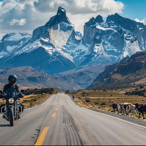 Printable painting of a Motorist driving on a road in snowy mountains with some cows on the shoulder