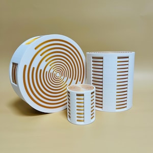 Lakhovsky MWO per Radionica con Oscillatore Multi-Onda Orgone e Armonizzazione delle Onde Scalari  Bobina di Tesla