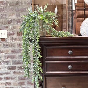 May include: A cascading faux eucalyptus plant in a metal container sits atop a dark brown wooden dresser. The plant features small, round, green leaves and long, trailing stems. The dresser has three drawers with round, silver knobs.