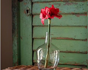 Artificial Amaryllis Flower 16" Red Faux Floral Amaryllis Red Artificial Flower Home Decor Christmas Floral Vase Filler