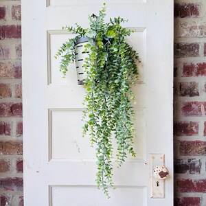 31-inch long green plastic hanging eucalyptus bush with trailing faux leaves measuring 10 to 14 inches wide styled for shelf or wall decor.