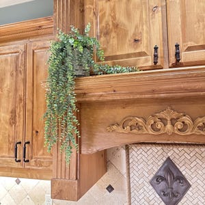 May include: A hanging faux eucalyptus plant in a woven basket sits atop a wooden cabinet. The cabinet is a warm, medium brown with decorative molding and dark hardware. The kitchen design features a fleur-de-lis emblem.