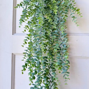 May include: A cascading artificial eucalyptus plant with small, round, green leaves. The faux plant hangs against a white door, creating a natural, decorative element. The leaves have a slight variation in color, adding depth to the design.