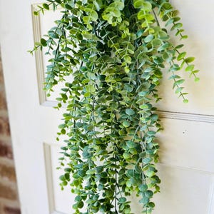 May include: A hanging artificial eucalyptus plant with small, round, green leaves. The plant is cascading down, creating a natural, decorative element. The leaves have a slight variation in color, adding depth to the design. The plant is against a white background.