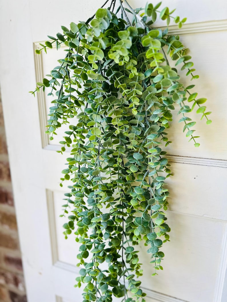 May include: A hanging artificial eucalyptus plant with small, round, green leaves. The plant is cascading down, creating a natural, decorative element. The leaves have a slight variation in color, adding depth to the design. The plant is against a white background.