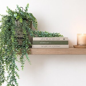 May include: A wooden shelf displays a hanging plant, books, and a candle. The plant is in a metal container and has green leaves. The books are stacked and have titles like "Live Beautifully." A lit candle sits on a wooden tray.