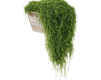 Artificial Moss for Terrariums, Fairy Gardens, Floral Arrangements, Home Decor, Garden Decor, Decorative Moss Filler