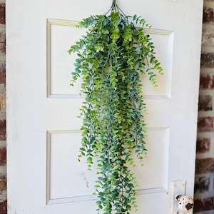 May include: A hanging artificial eucalyptus plant with small, round, green leaves. The plant is suspended from a dark green stem and hangs down, creating a cascading effect. The plant is displayed against a white door.