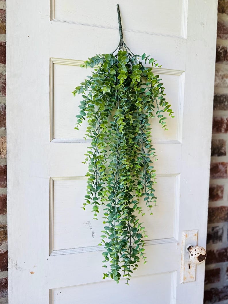 May include: A hanging artificial eucalyptus plant with small, round, green leaves. The plant is suspended from a dark green stem and hangs down, creating a cascading effect. The plant is displayed against a white door.