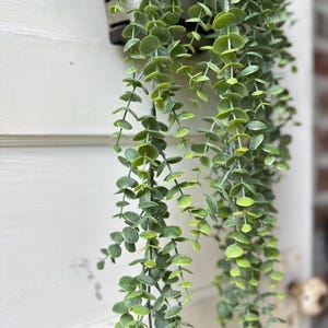 May include: Close-up of a hanging artificial plant with cascading green leaves. The plant is in a metal container and hangs against a white wooden surface. The leaves are a mix of light and dark green.
