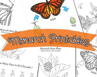 Monarch Butterfly Life Cycle Printables Unit Study