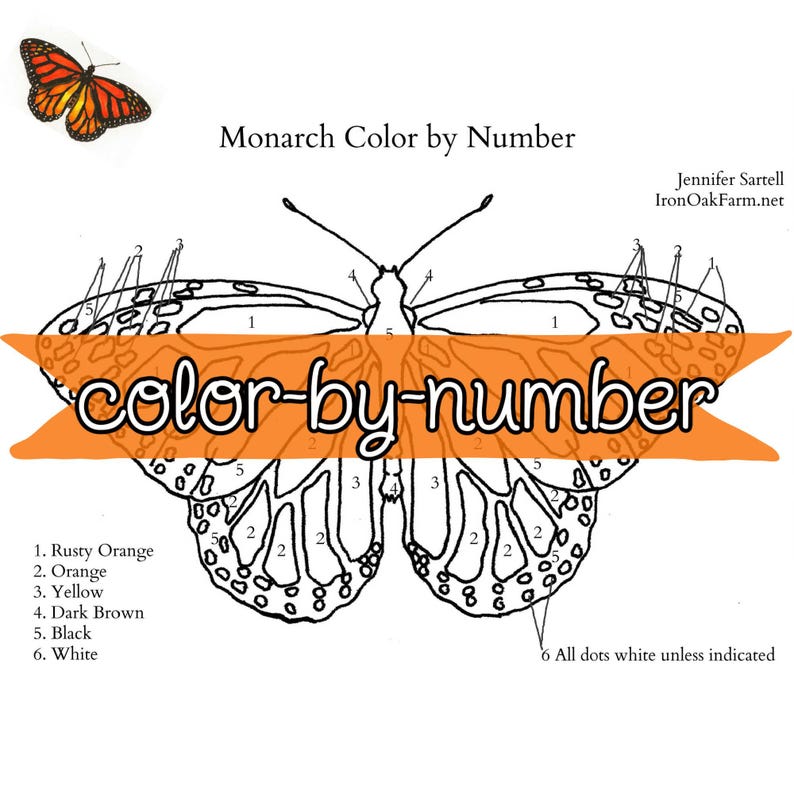 Monarch Butterfly Life Cycle Printables Unit Study - Etsy