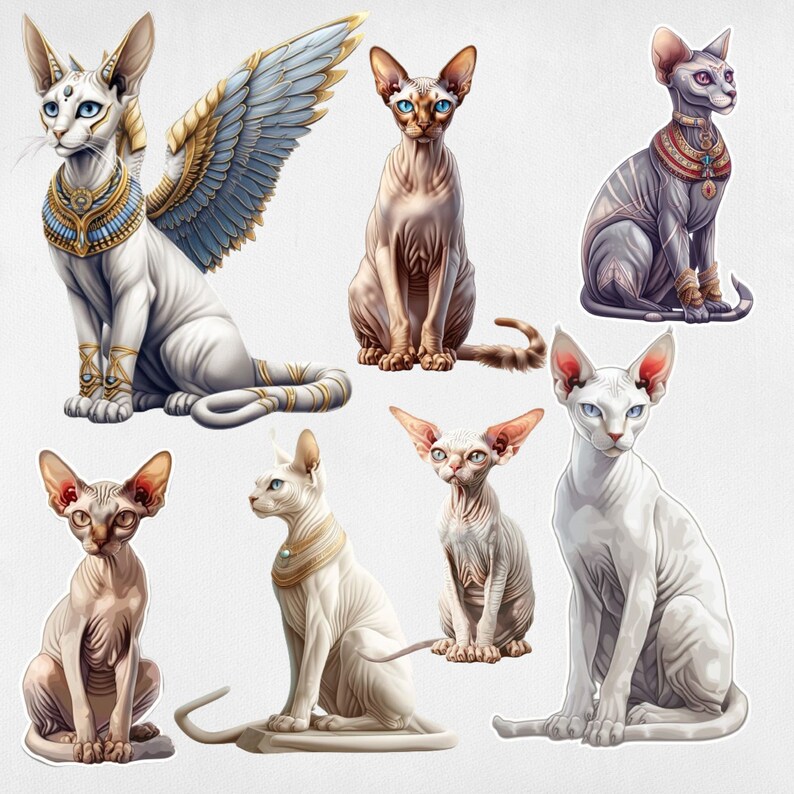Set of 39 Sphinx Cats Clipart , Digital Illustration, Clipart Bundle ...