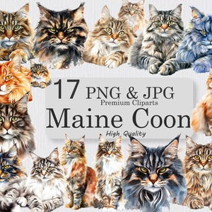 Maine Coon Katze Clipart Set - 17 PNG mit transparentem Hintergrund & 17 JPG Bilder - Digital Download Feline Art Bundle Clip Art Tier Poster