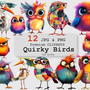 12 PNG & JPG Quirky Birds Clipart, Whimsical Cartoon Birds Clip Art, Funny Birds Printable JPGs, Transparent High Quality digital clipart