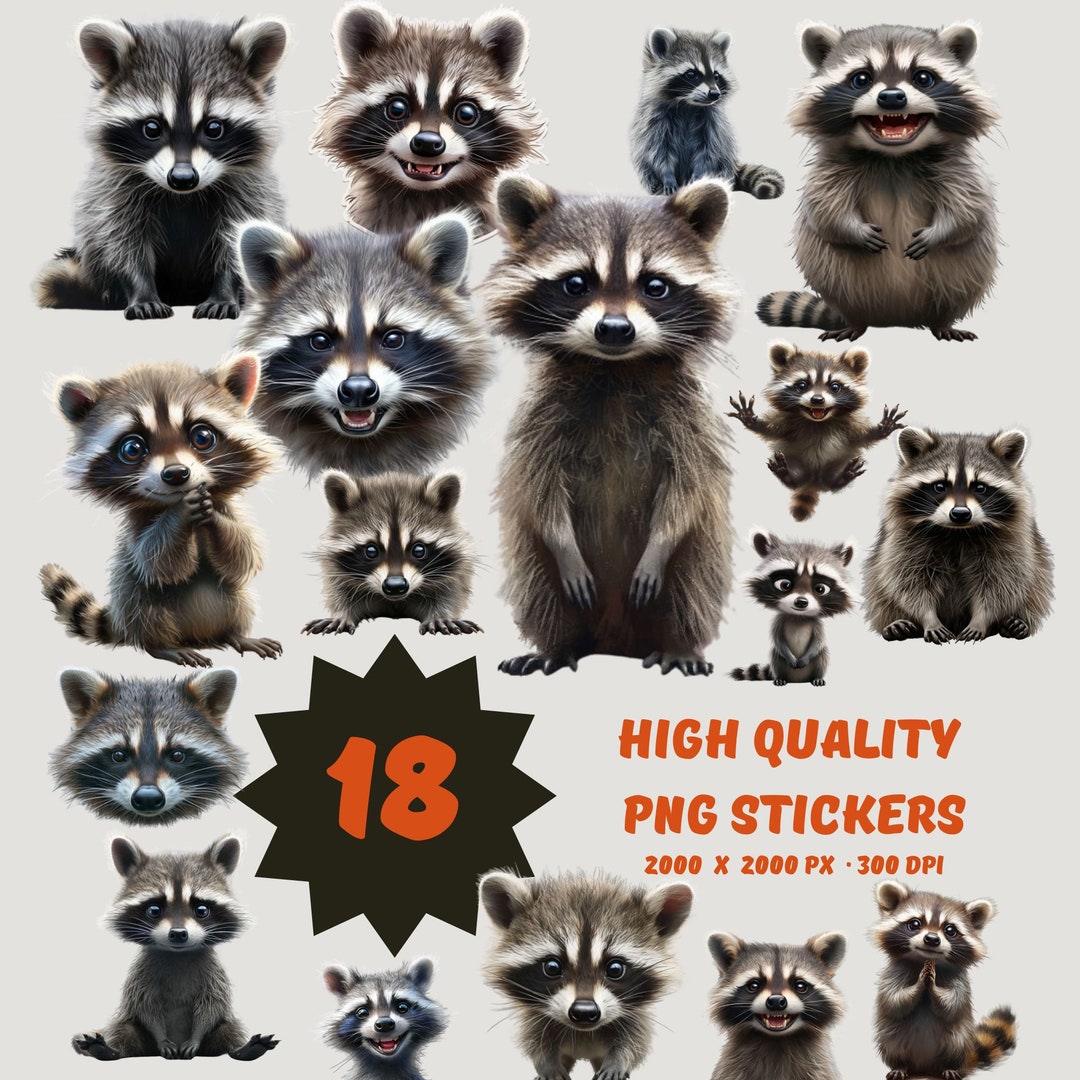 Set of 18 Cute Racoon PNG Poster, Digital Illustration, Racoon Print ...