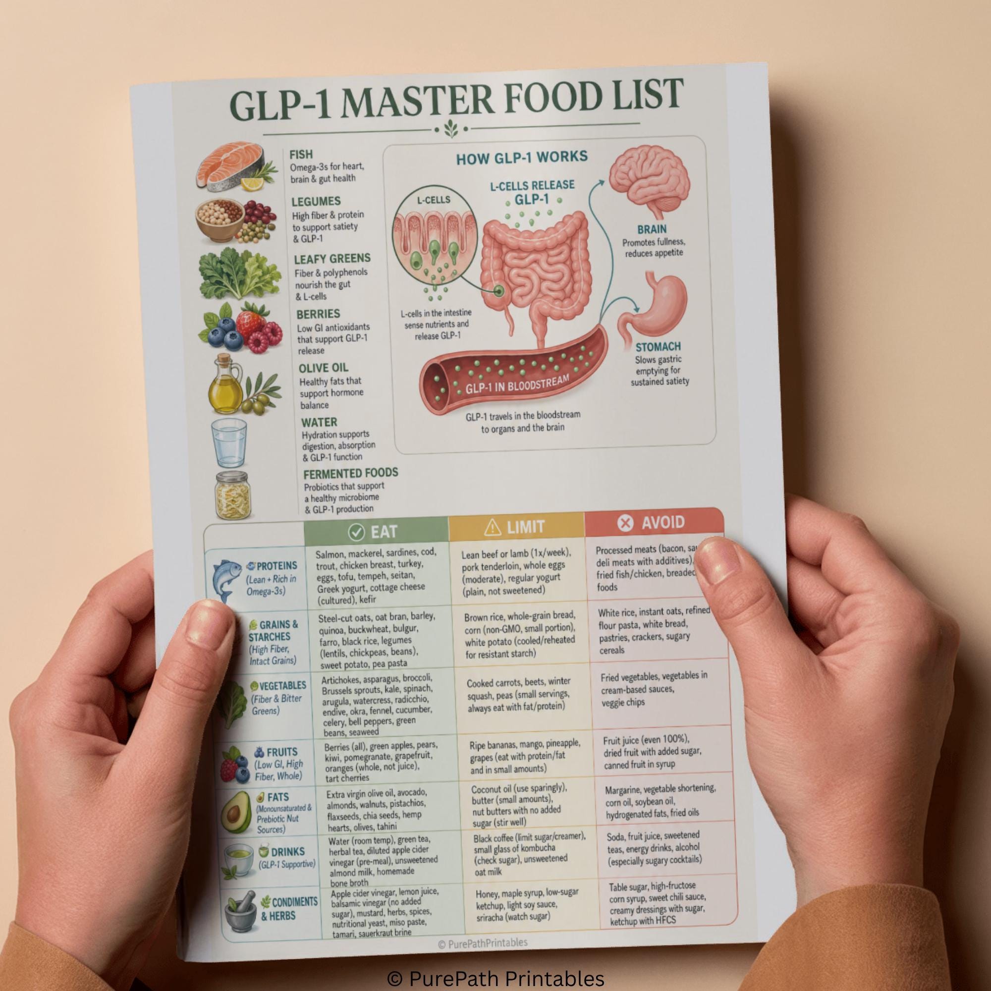 Natural GLP-1 Meal Plan Printable Diet Guide Boost GLP-1 Hormone ...