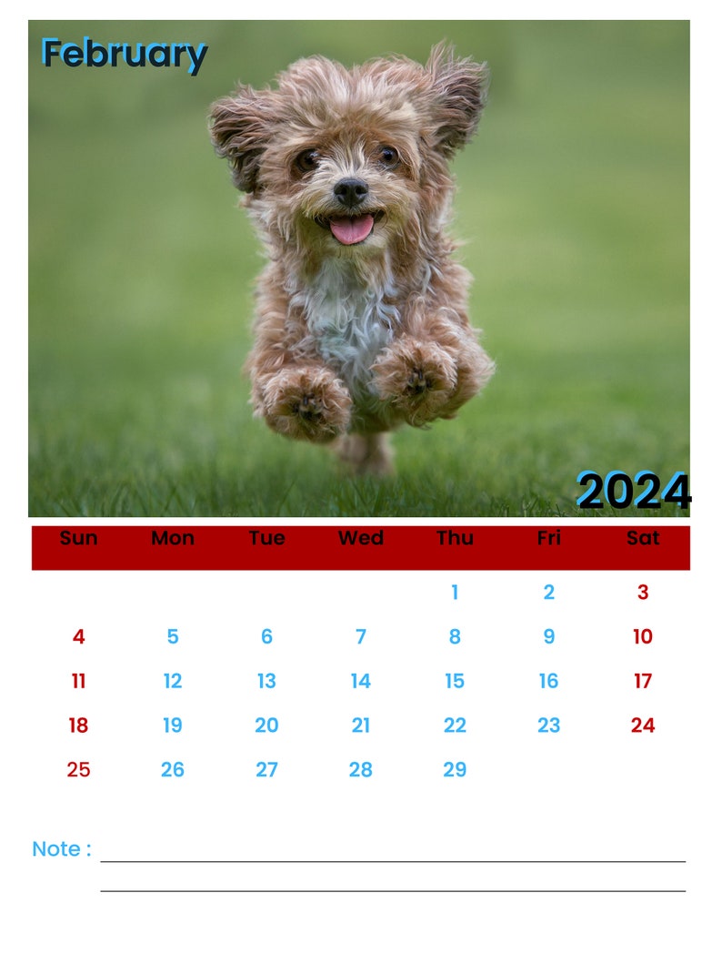 2024 Calendar Wall Calendar 2024 Cute Dogs Calendar Dogs Calendar Pets