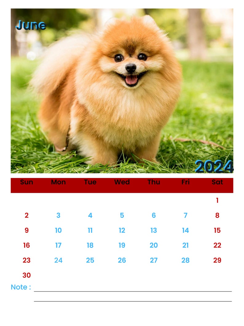 2025 Calendar Wall Calendar 2025 Cute Dogs Calendar Dogs Calendar Pets