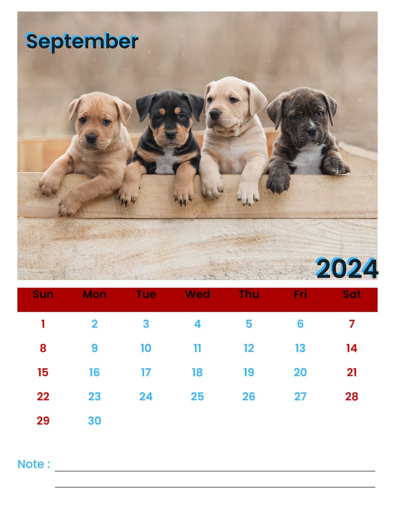 2025 Calendar Wall Calendar 2025 Cute Dogs Calendar Dogs Calendar Pets