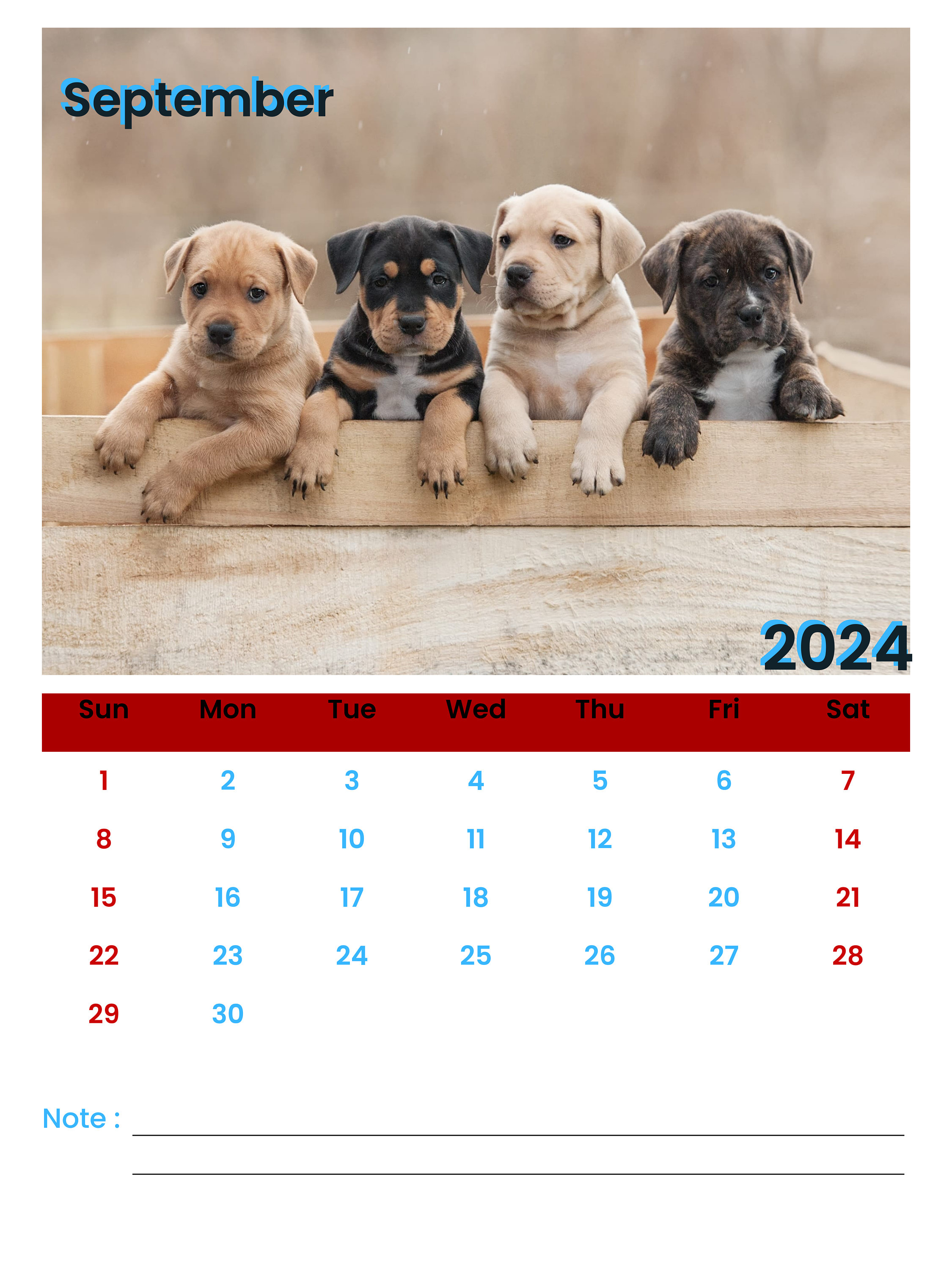 2024 Calendar Wall Calendar 2024 Cute Dogs Calendar Dogs Calendar Pets