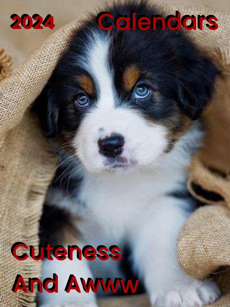2024 Calendar Wall Calendar 2024 Cute Dogs Calendar Dogs Calendar Pets