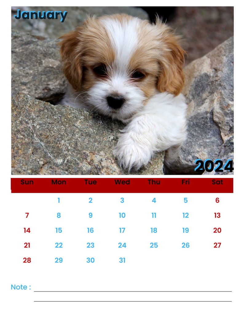 2025 Calendar Wall Calendar 2025 Cute Dogs Calendar Dogs Calendar Pets