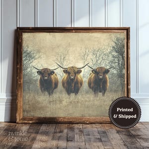 Vintage Highland Cow Poster, Rustic Nursery Art, Dark Academia Painting, Antique Farm Animal Decor, Moody Wall Print, Printed and Shipped