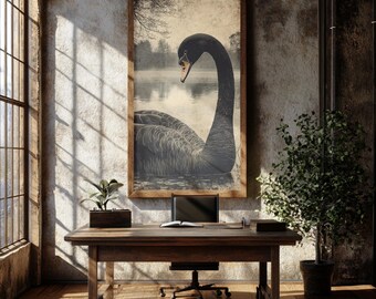 Vintage Black Swan Wall Art, Dark Academia Home Decor, Moody