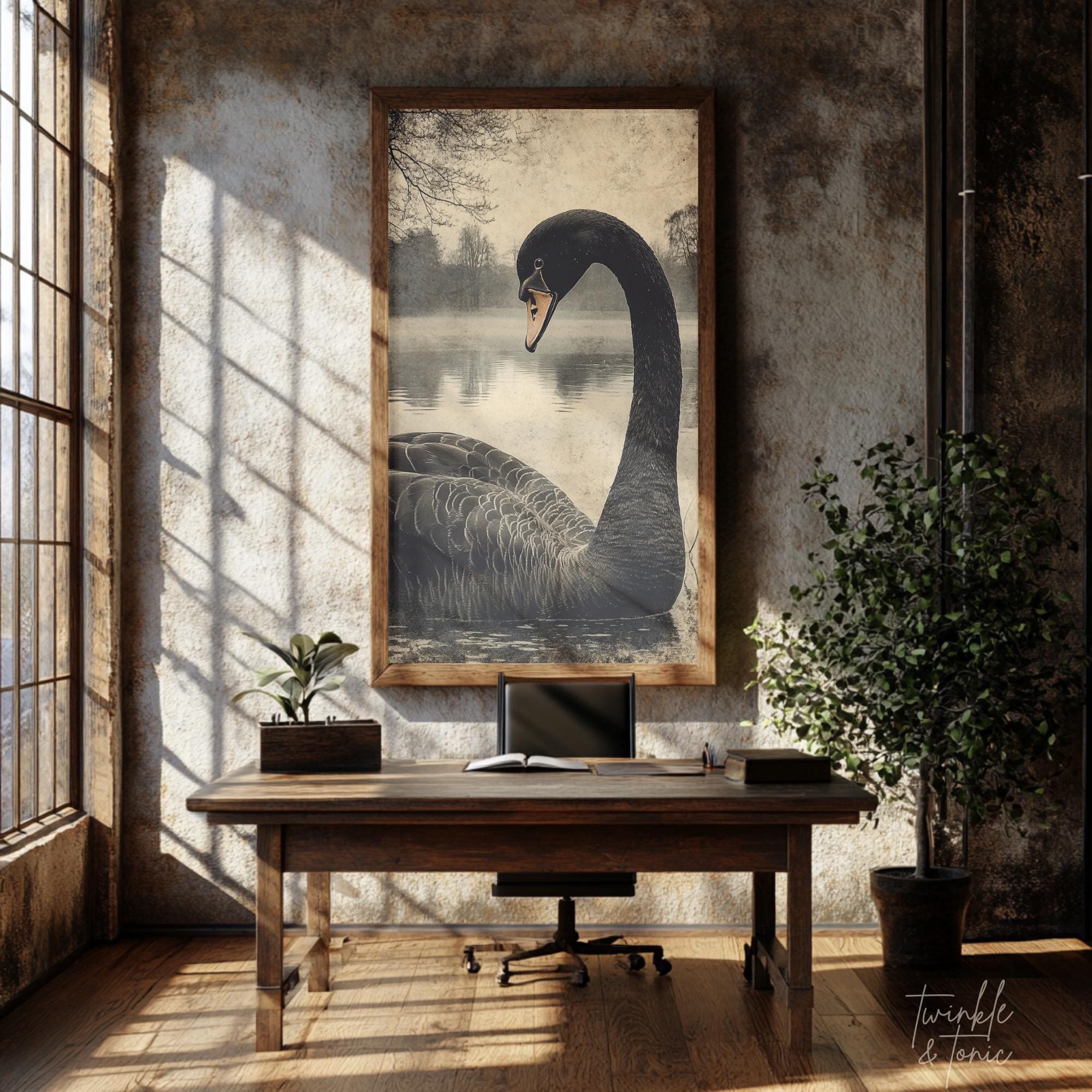 Vintage Black Swan Wall Art, Dark Academia Home Decor, Moody