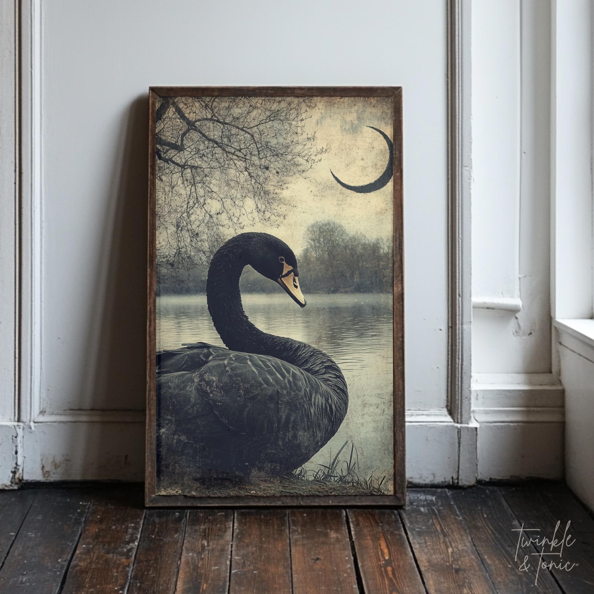 Vintage Black Swan Wall Art, Dark Academia Home Decor, Moody