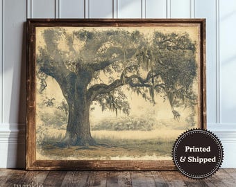 Vintage Oak Tree Print, Rustic Countryside Art, Farmhouse Landscape Painting, Antique Southern Decor, Moody Poster, Printed and Shipped