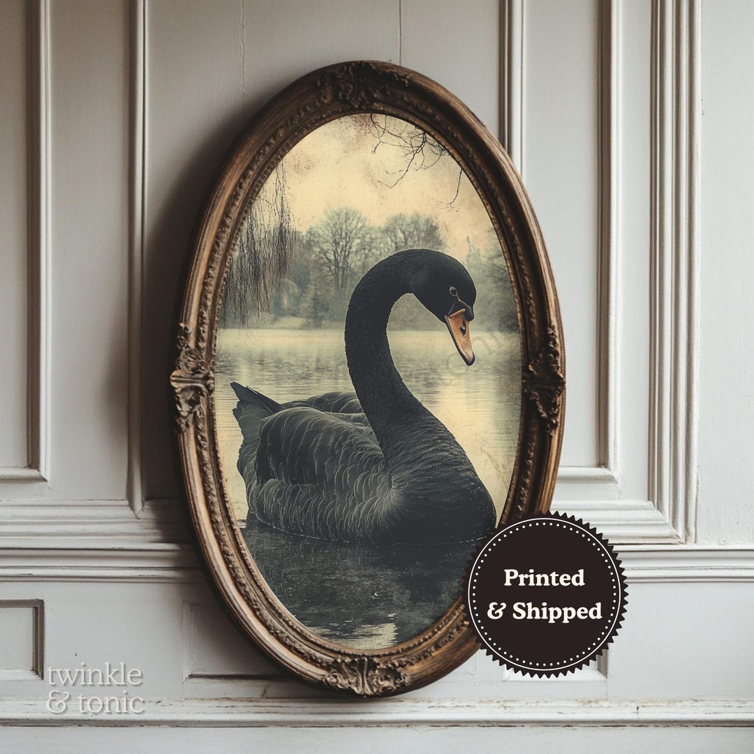 Vintage Black Swan Wall Art, Dark Academia Home Decor, Moody