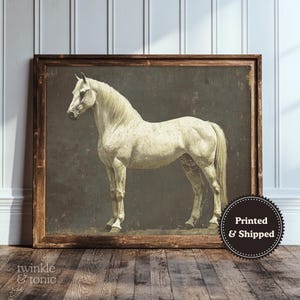 May include: A framed print featuring a white horse in a classical pose against a dark background. The horse is the focal point, with detailed rendering of its form. The frame is a dark wood. The print has a vintage aesthetic.