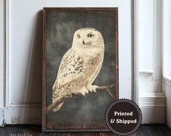 Decorazione murale vintage con gufo, arredamento per la casa Dark Academia, poster Moody Nature, stampa di uccelli gotici neutri, dipinto di animali selvatici, stampato e spedito