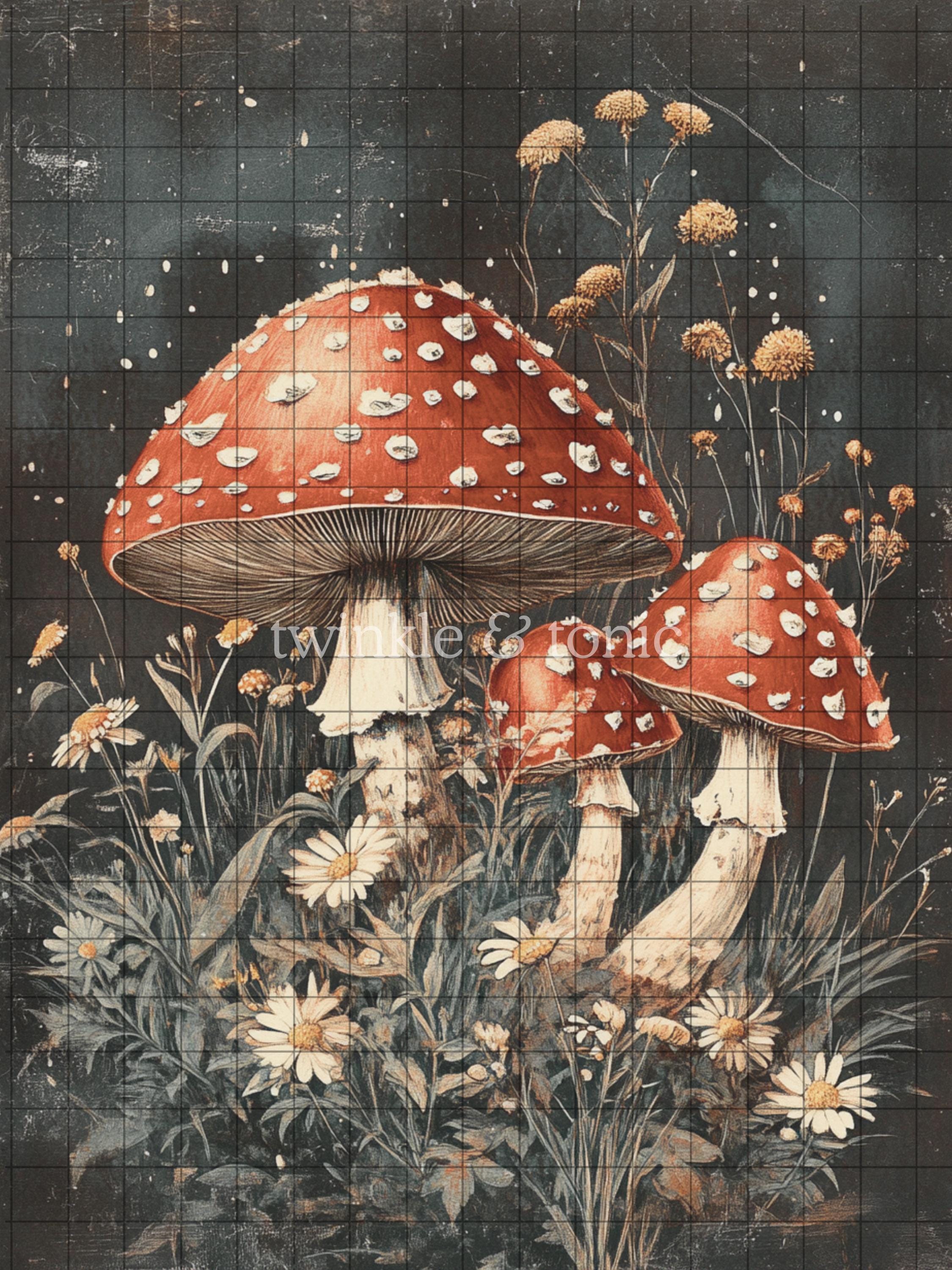 Amanita Mushroom Print, Vintage Forest Toadstool Art, Dark