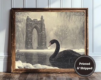 Vintage Black Swan Wall Art, Dark Academia Home Decor, Moody Nature Poster, Neutral Gothic Bird Print, Wildlife Painting Printed and Shipped